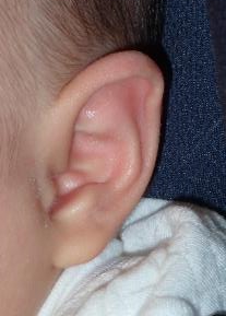 ear40